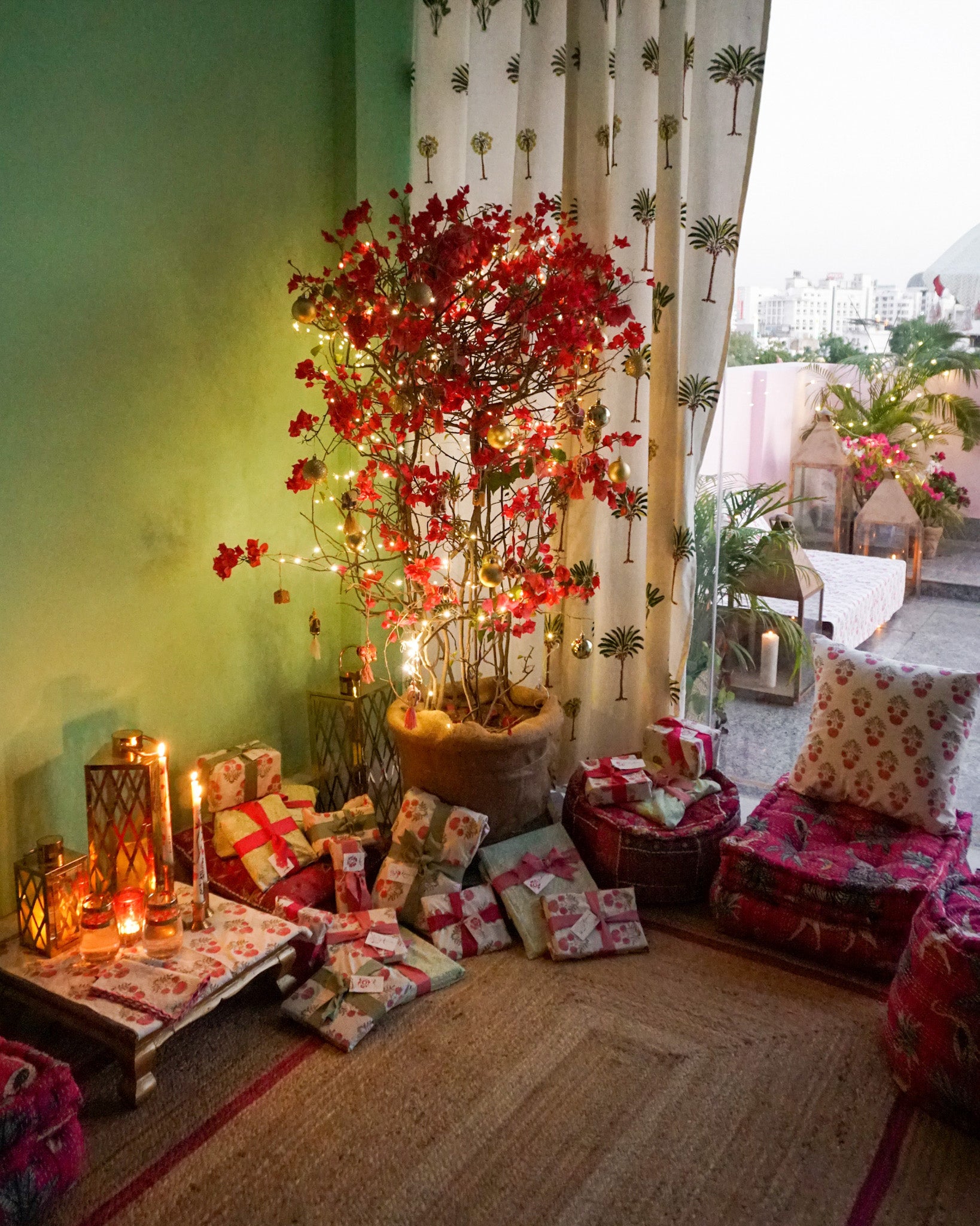 Bougainvillea xmas tree